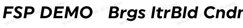 FSP DEMO   Brgs ltrBld Cndnsd Itali字体转换